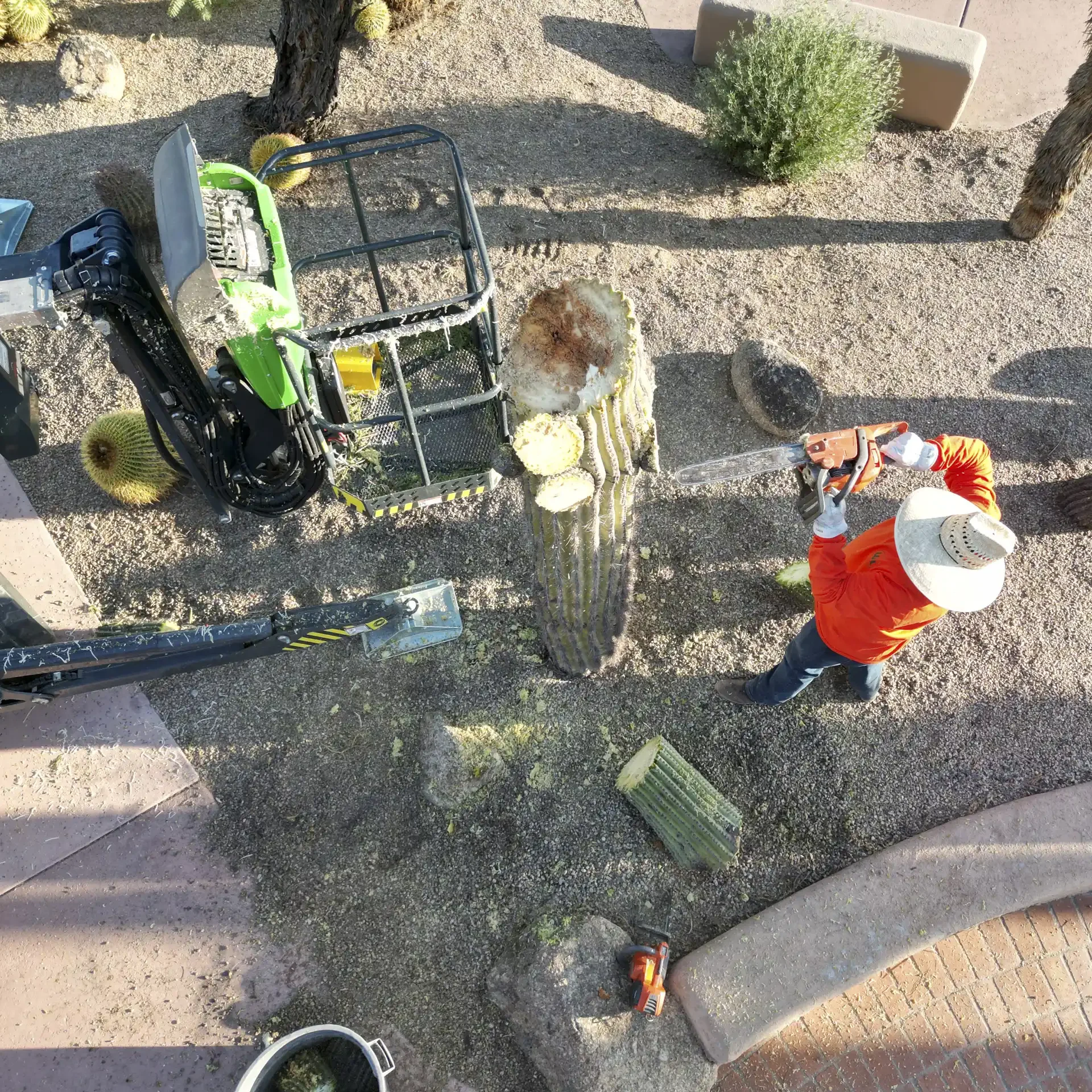 DJI_0009