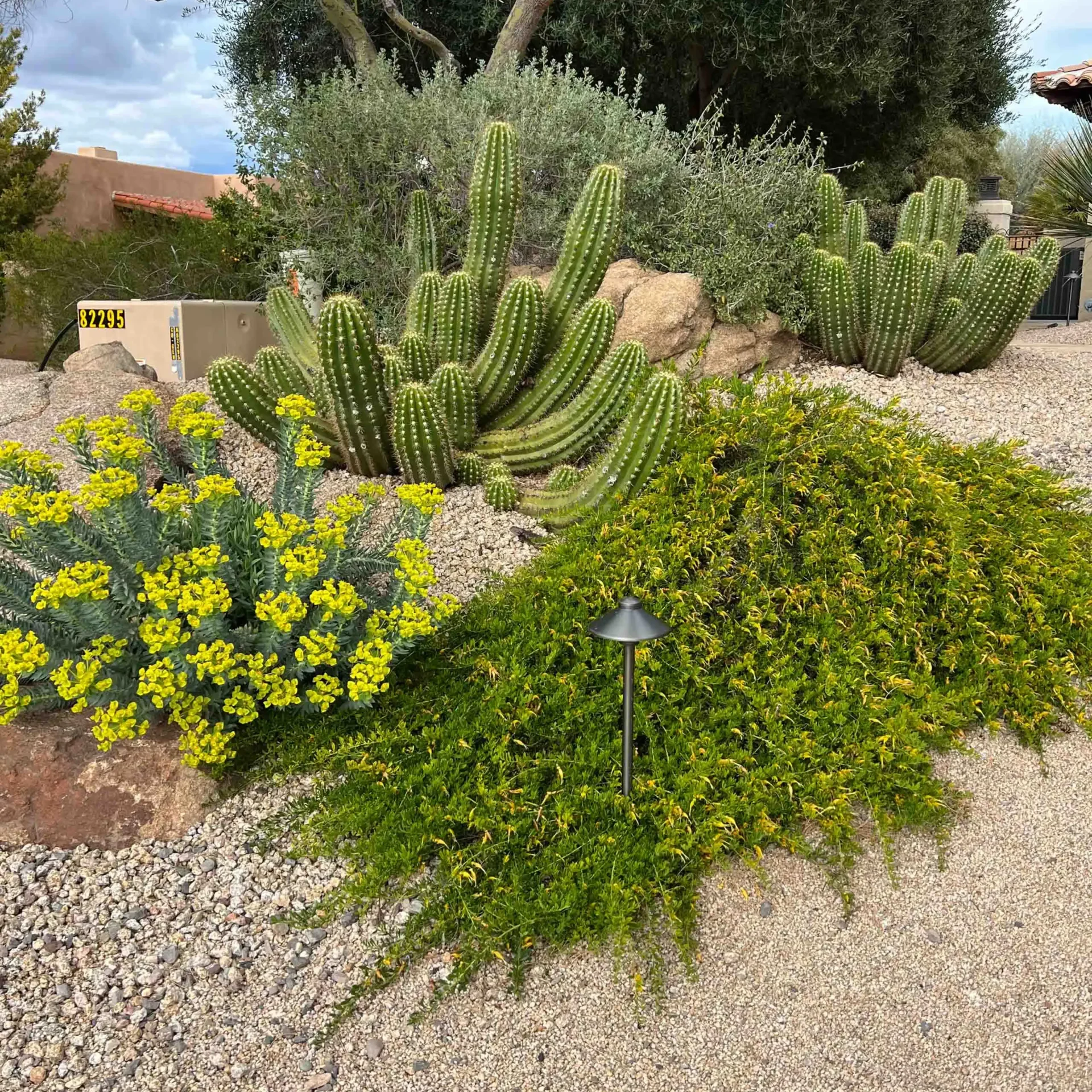 Wickenburg, AZ Full Service Irrigation Companies