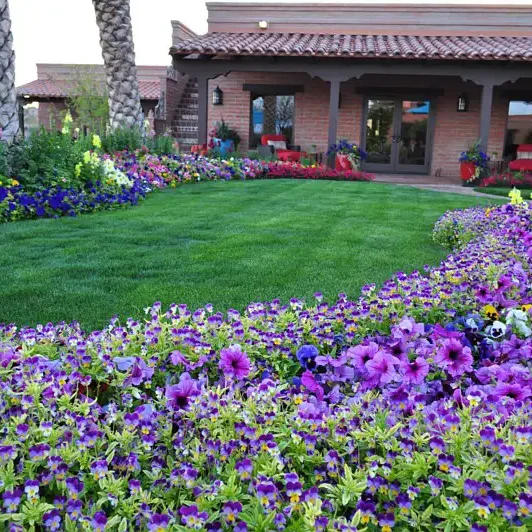 Wickenburg, AZ Smart Irrigation